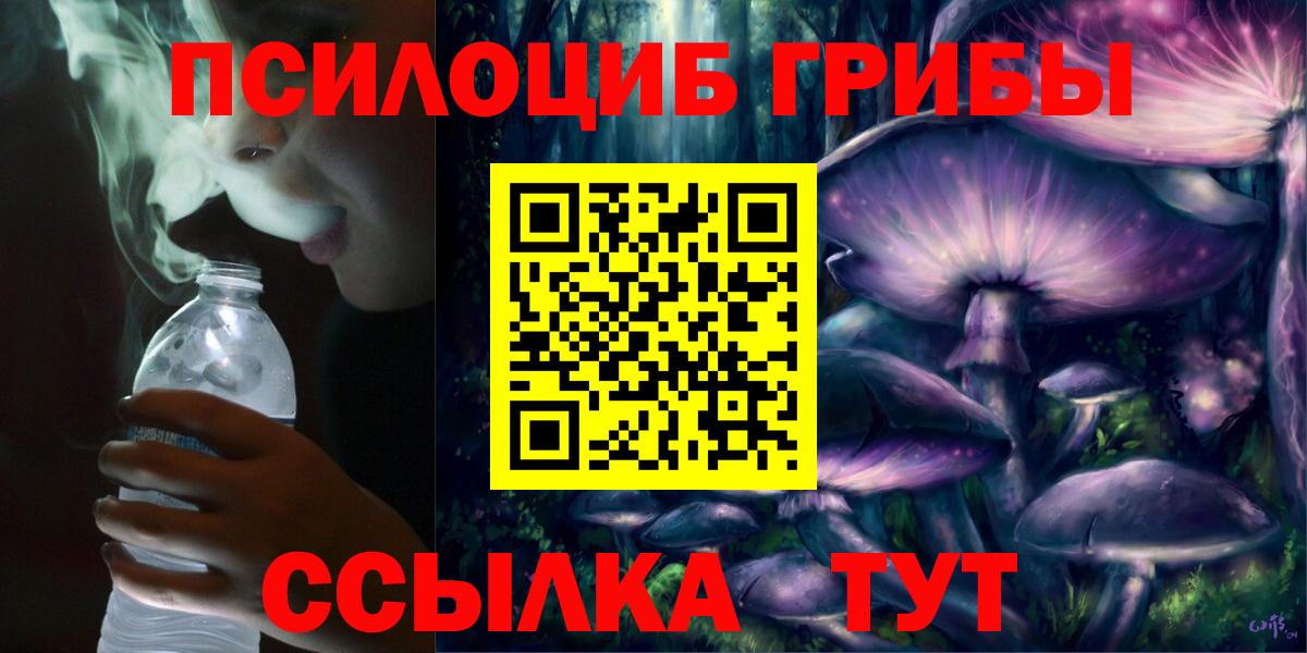 магазин    Вход с VPN  Минеральные Воды  Псилоцибиновые грибы Psilocybine cubensis 