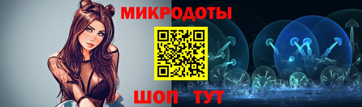 Галлюциногенные грибы Psilocybe Минеральные Воды